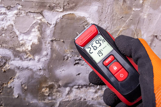 Best Bathroom Mold Remediation in Shelton, WA